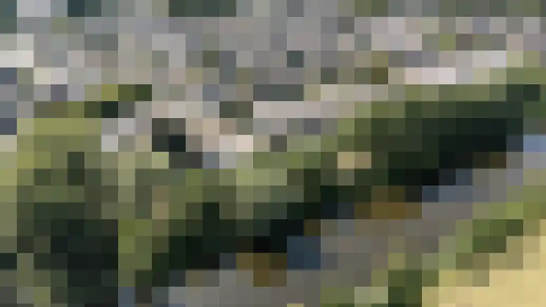 Overcinge 42 Almelo thumbnail 4
