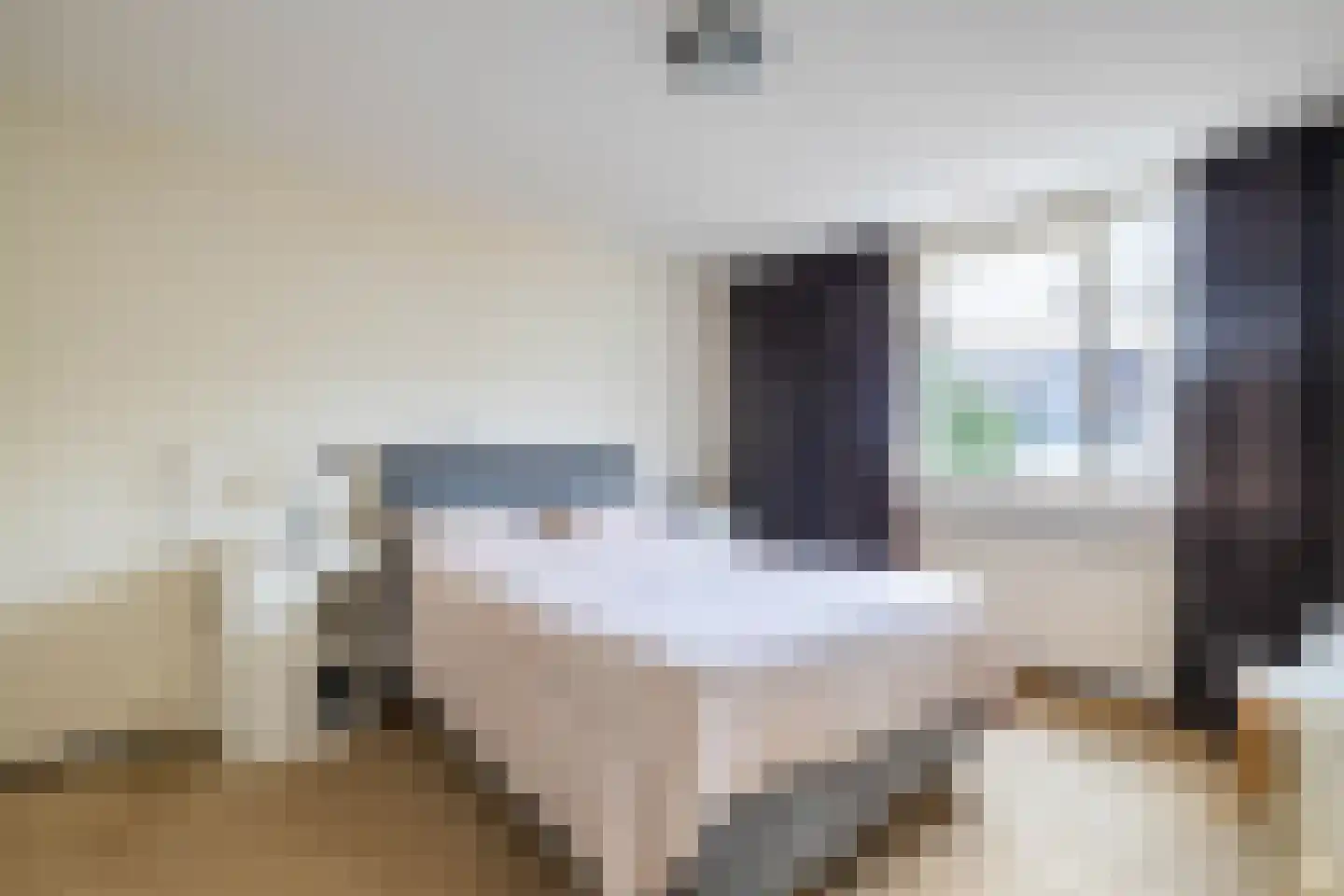Overcinge 60 Almelo thumbnail 14