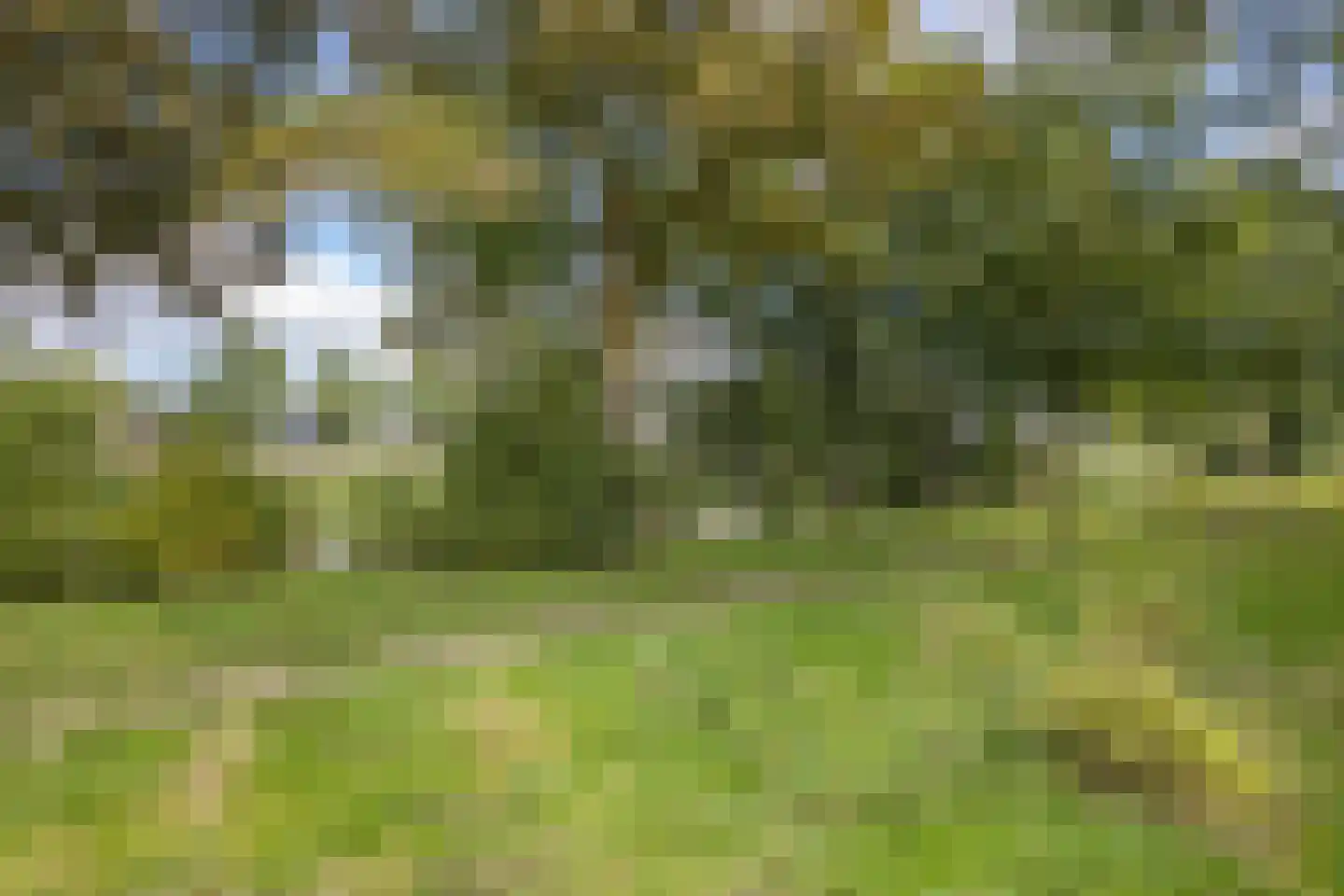 Overcinge 60 Almelo thumbnail 25