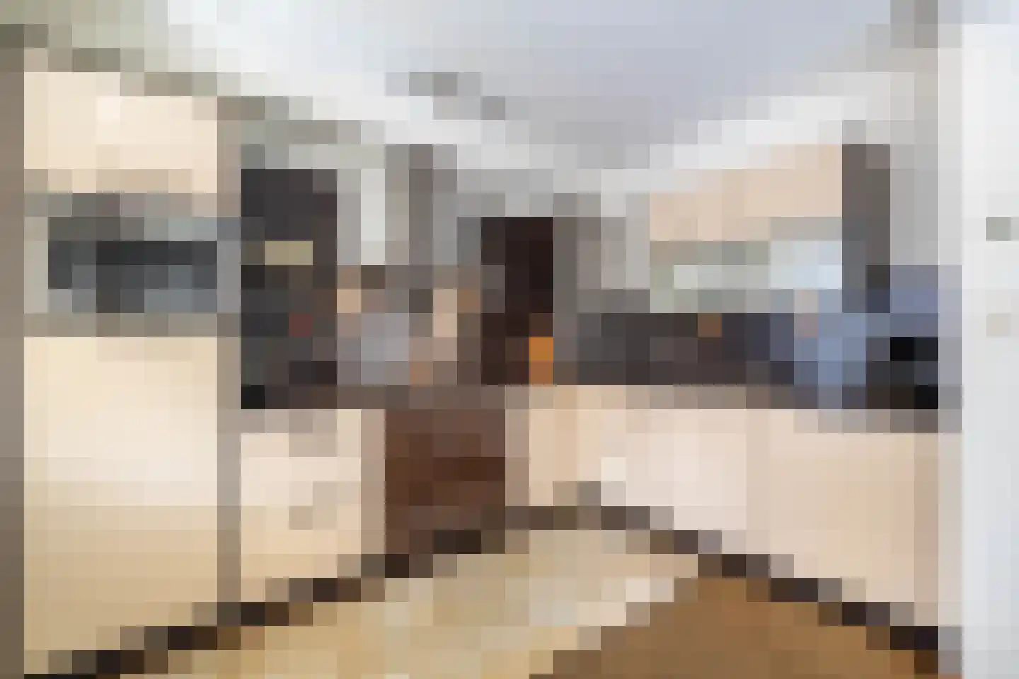Overcinge 60 Almelo thumbnail 4