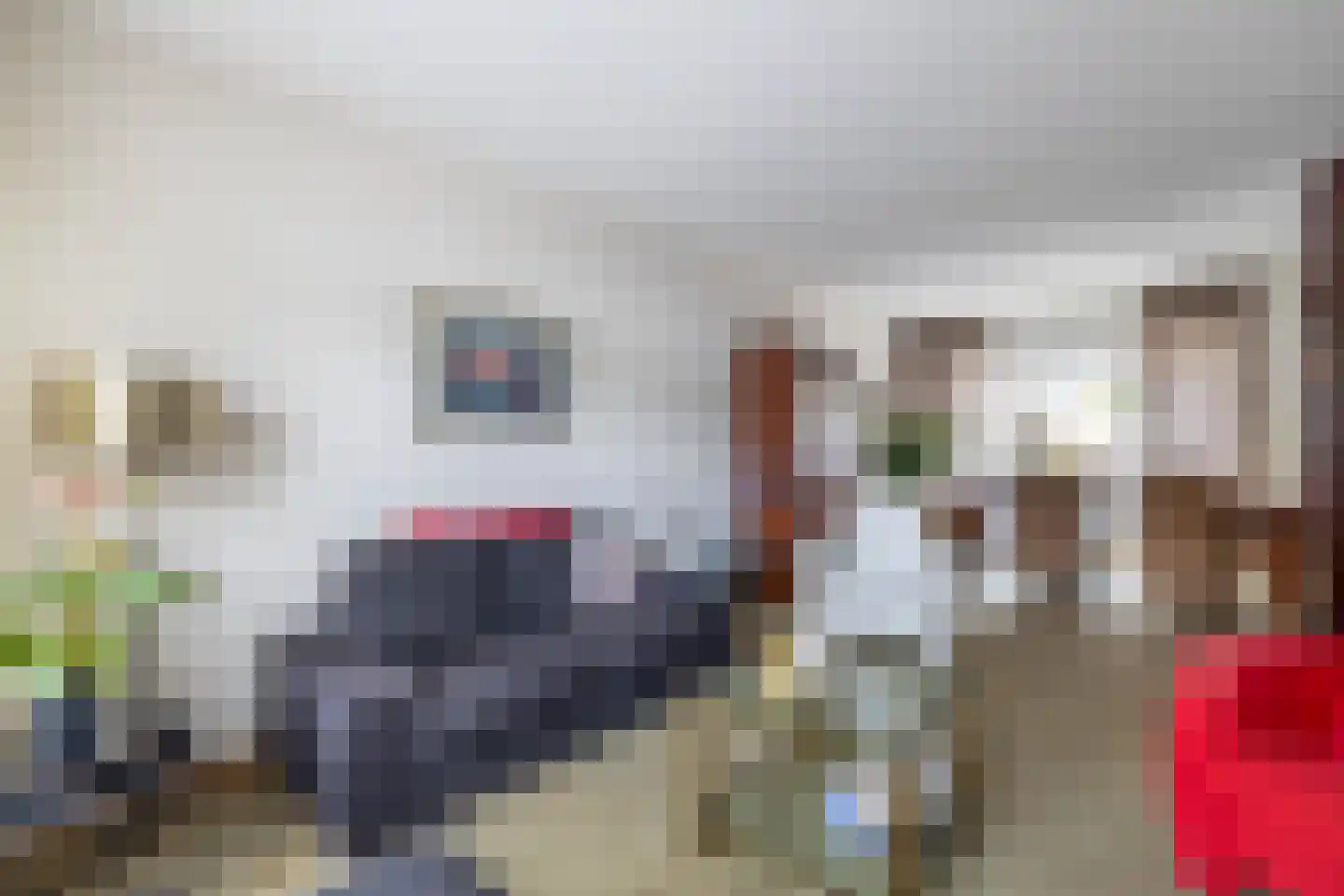 Overcinge 60 Almelo thumbnail 8