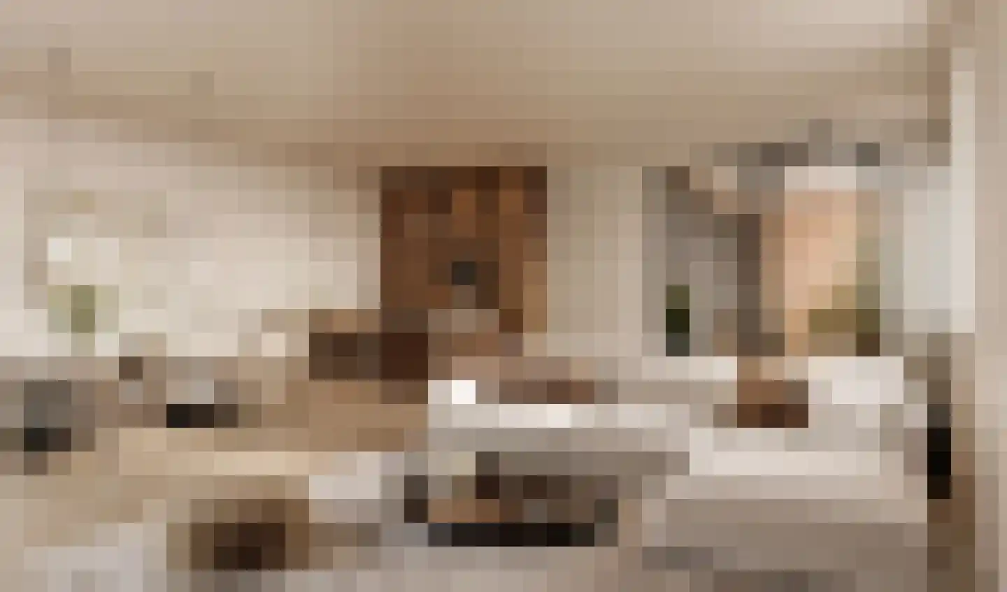 Overdamstraat 11 Hulst thumbnail 12