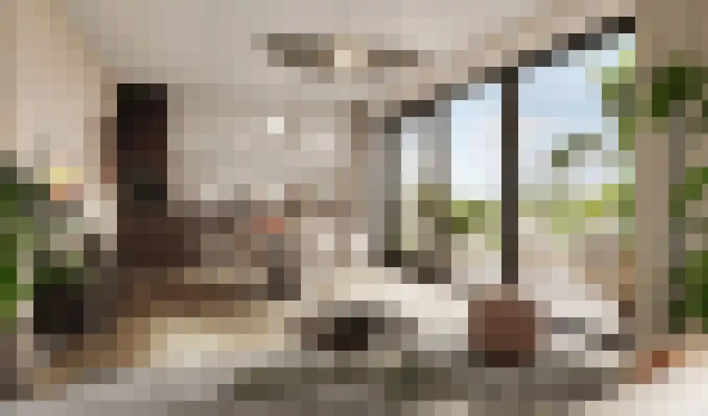 Overdamstraat 3 Hulst thumbnail 10