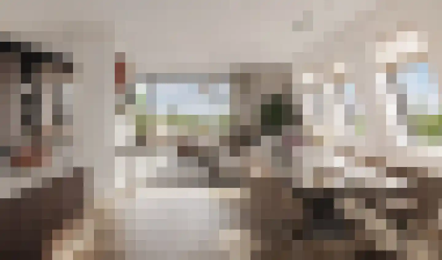 Overdamstraat 3 Hulst thumbnail 11