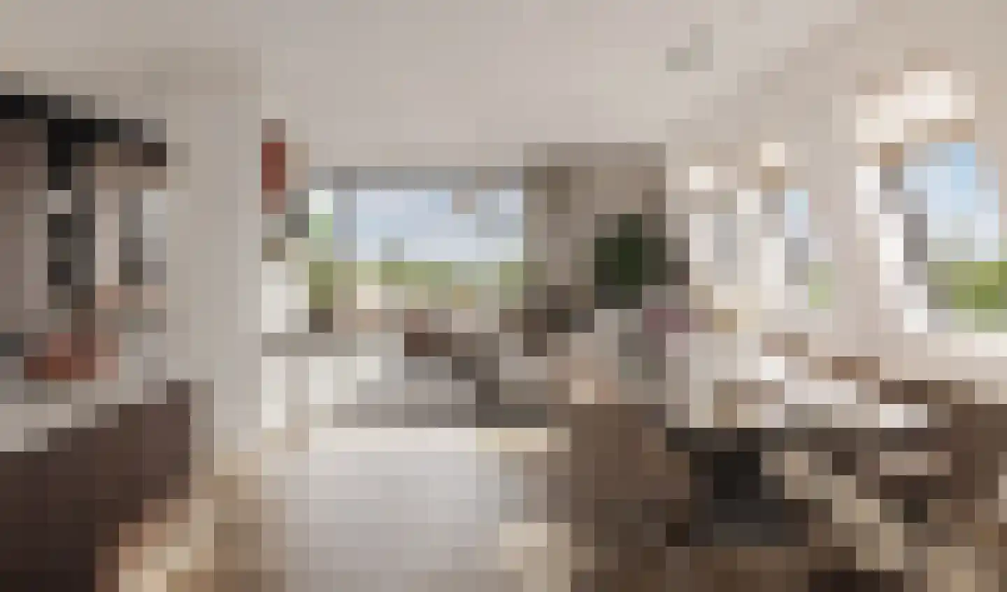 Overdamstraat 4 Hulst thumbnail 11