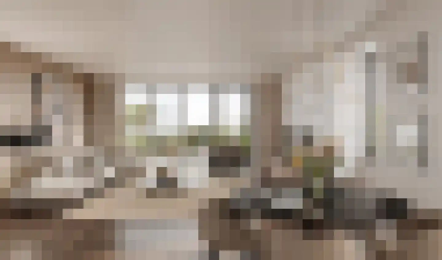 Overdamstraat 4 Hulst thumbnail 13