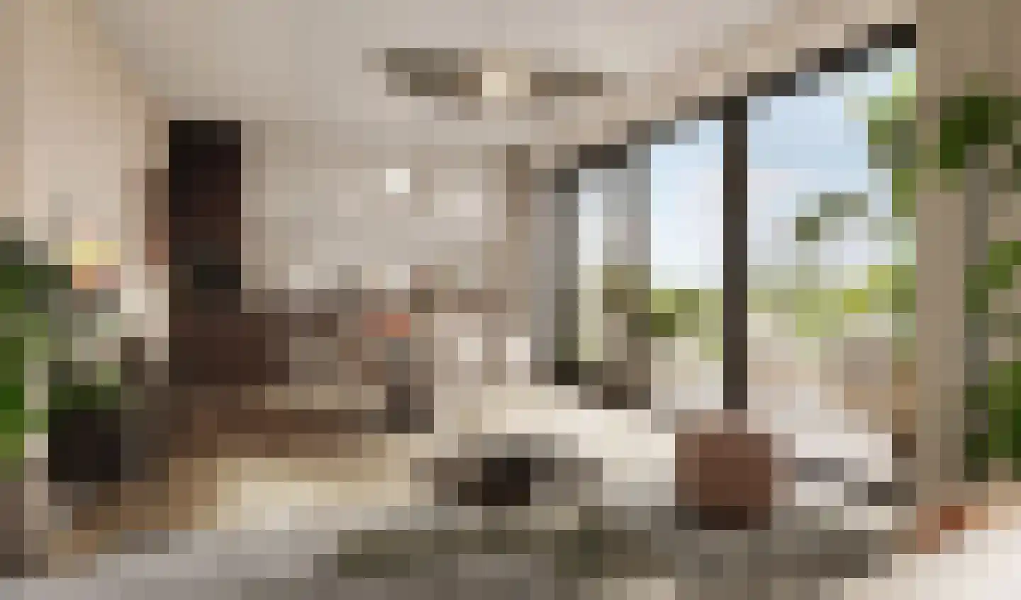 Overdamstraat 7 Hulst thumbnail 10