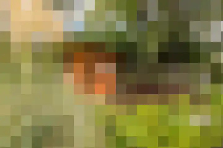 Overdiemerweg 25 Diemen thumbnail 17