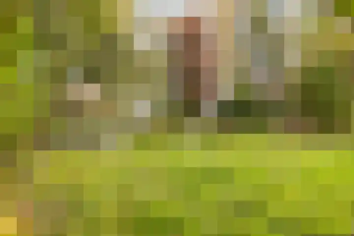 Overdiemerweg 25 Diemen thumbnail 18