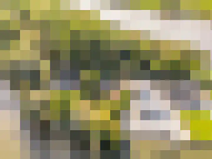 Overdiemerweg 25 Diemen thumbnail 19