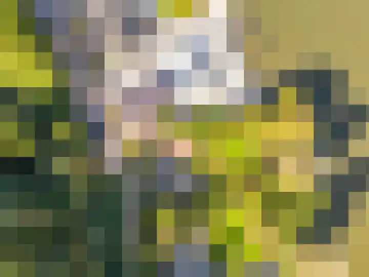 Overdiemerweg 25 Diemen thumbnail 20