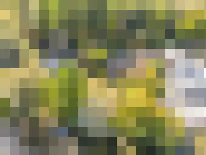 Overdiemerweg 25 Diemen thumbnail 21