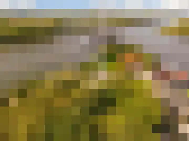 Overdiemerweg 25 Diemen thumbnail 23