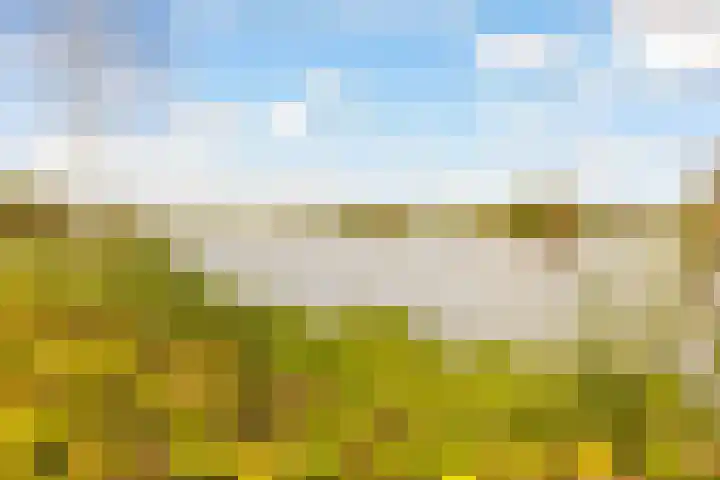 Overdiemerweg 25 Diemen thumbnail 27