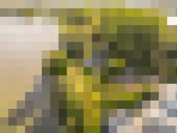 Overdiemerweg 25 Diemen thumbnail 4