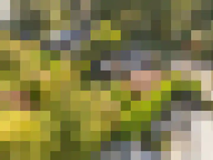 Overdiemerweg 25 Diemen thumbnail 5