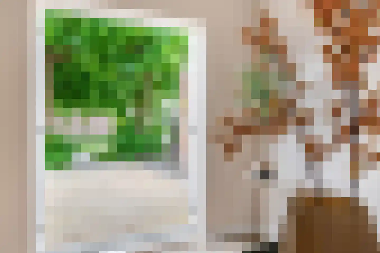 Overdiepad 18 Alkmaar thumbnail 30