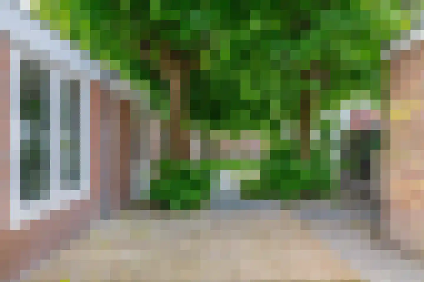 Overdiepad 18 Alkmaar thumbnail 47