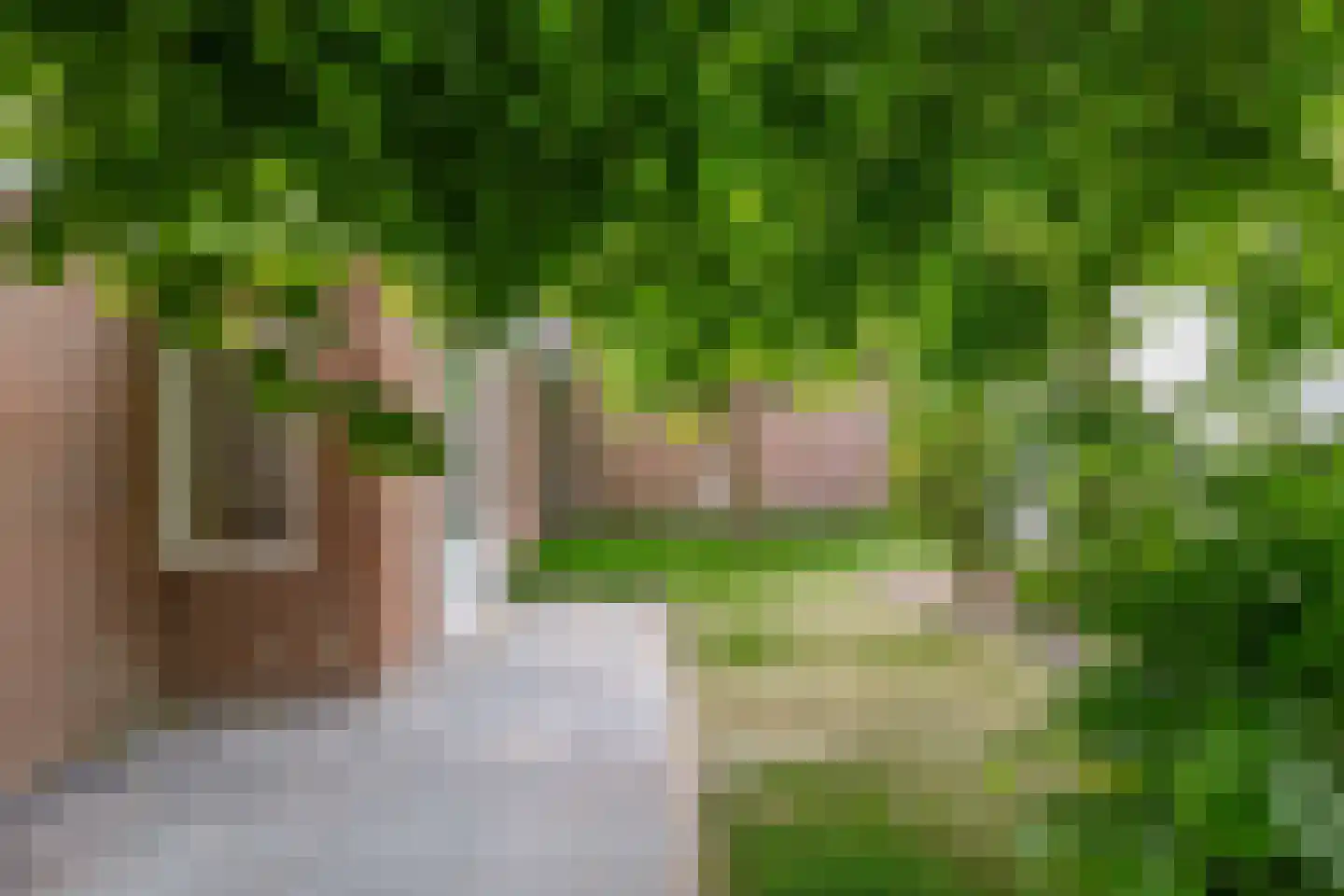 Overdiepad 18 Alkmaar thumbnail 48