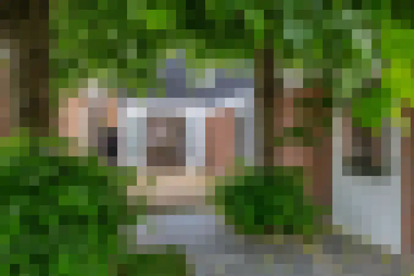 Overdiepad 18 Alkmaar thumbnail 5