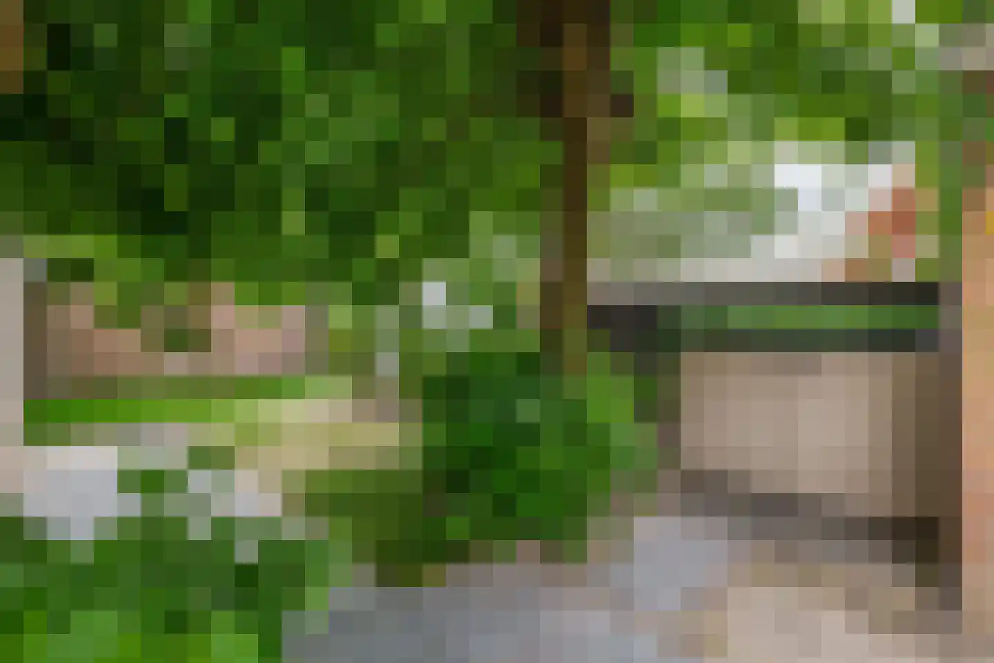 Overdiepad 18 Alkmaar thumbnail 52