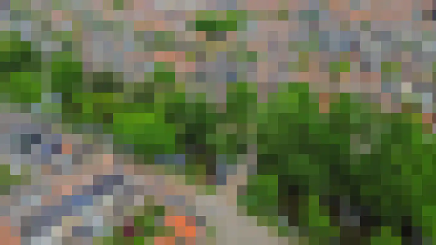 Overdiepad 18 Alkmaar thumbnail 60