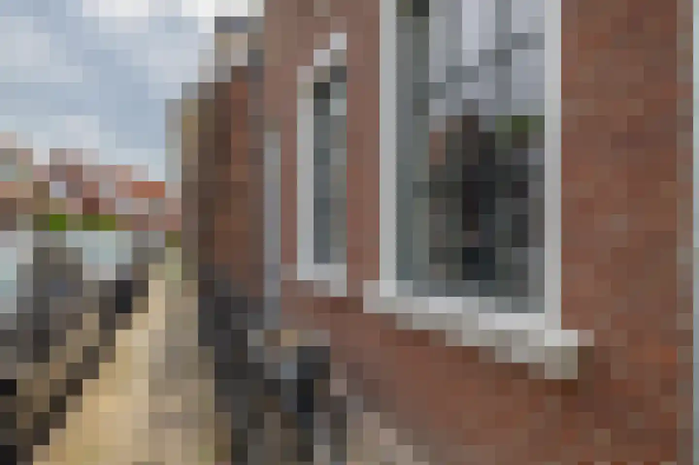 Overdiepad 18 Alkmaar thumbnail 9