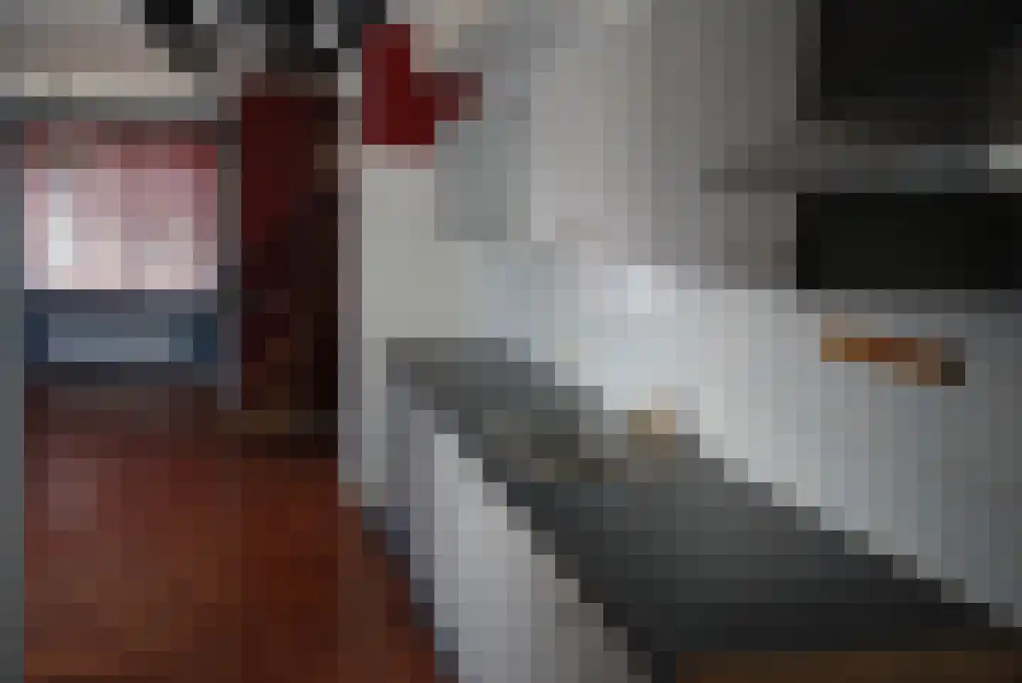 Overdiepad 32 Alkmaar thumbnail 12