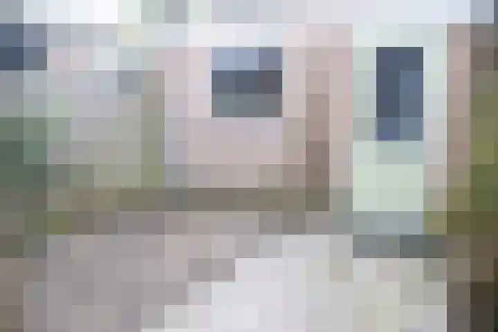 Overdiepad 32 Alkmaar thumbnail 18