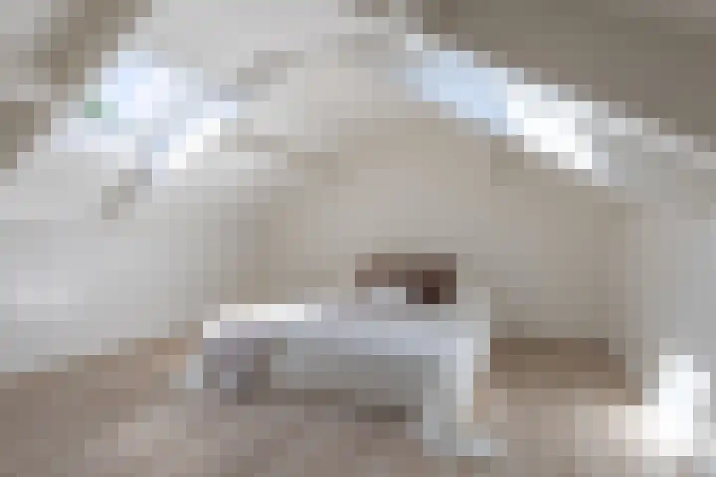 Overdiepad 5 Alkmaar thumbnail 17