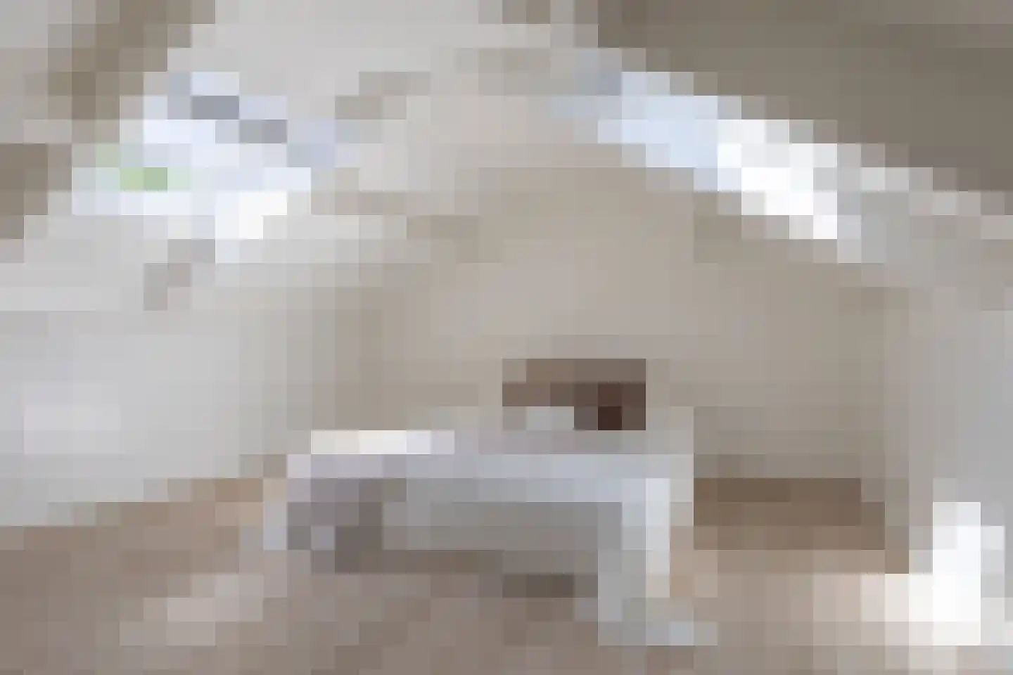 Overdiepad 5 Alkmaar thumbnail 18