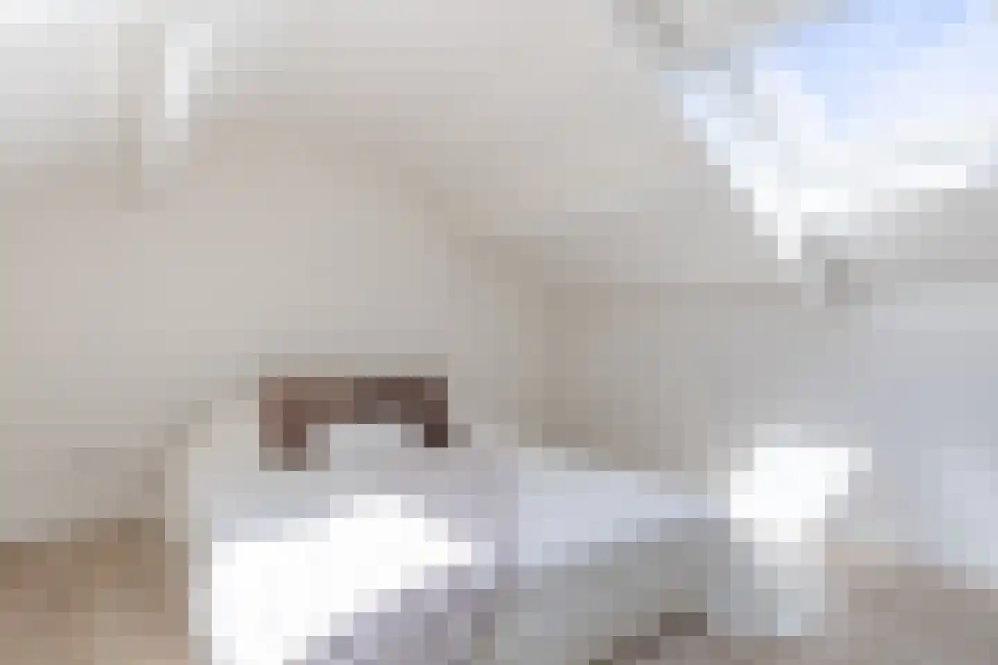 Overdiepad 5 Alkmaar thumbnail 22