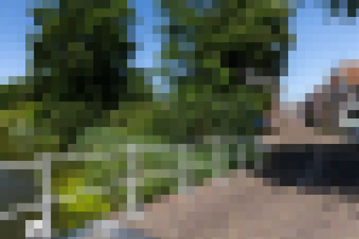 Overdiepad 5 Alkmaar thumbnail 25