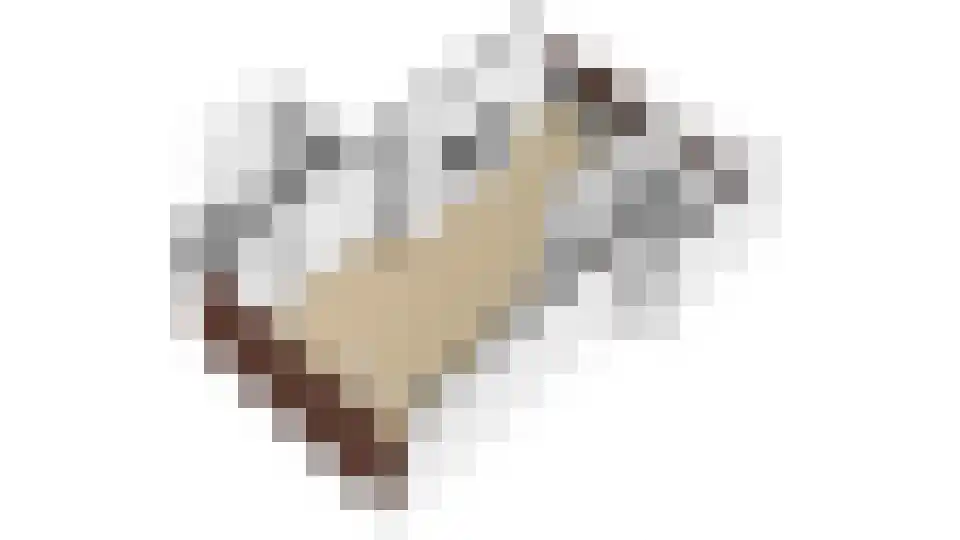 Overdiepad 5 Alkmaar thumbnail 31
