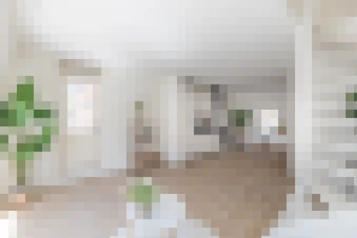 Overdiepad 5 Alkmaar thumbnail 6