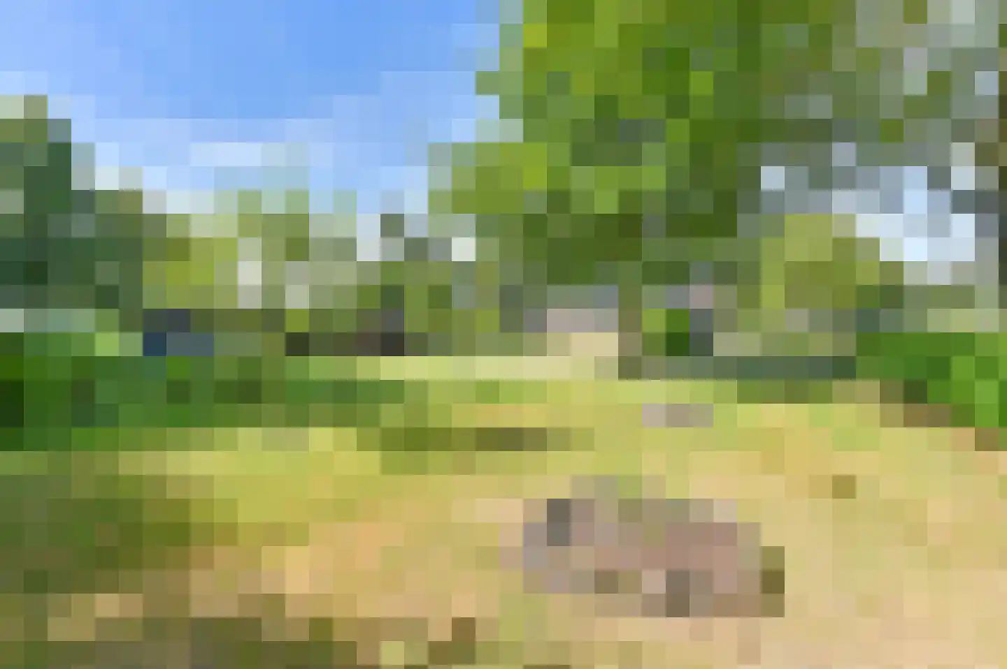 Overdijksterweg 4 Sellingen thumbnail 11