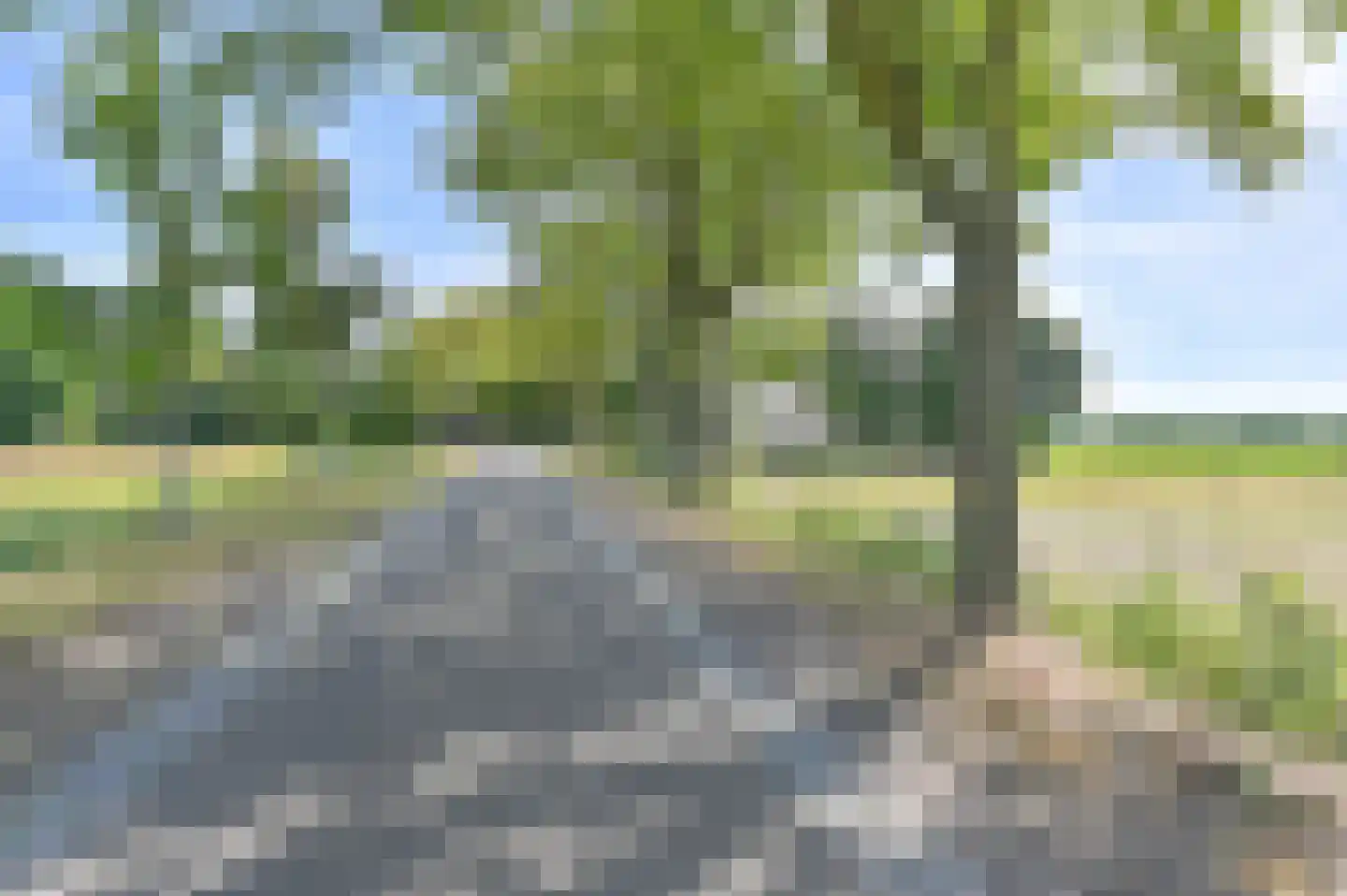 Overdijksterweg 4 Sellingen thumbnail 6