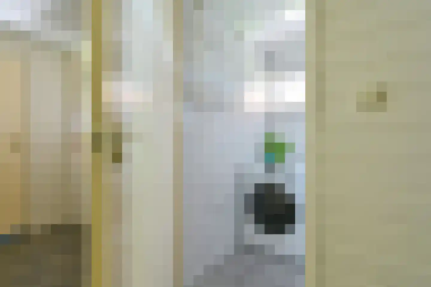 Overdijksterweg 4 Sellingen thumbnail 63