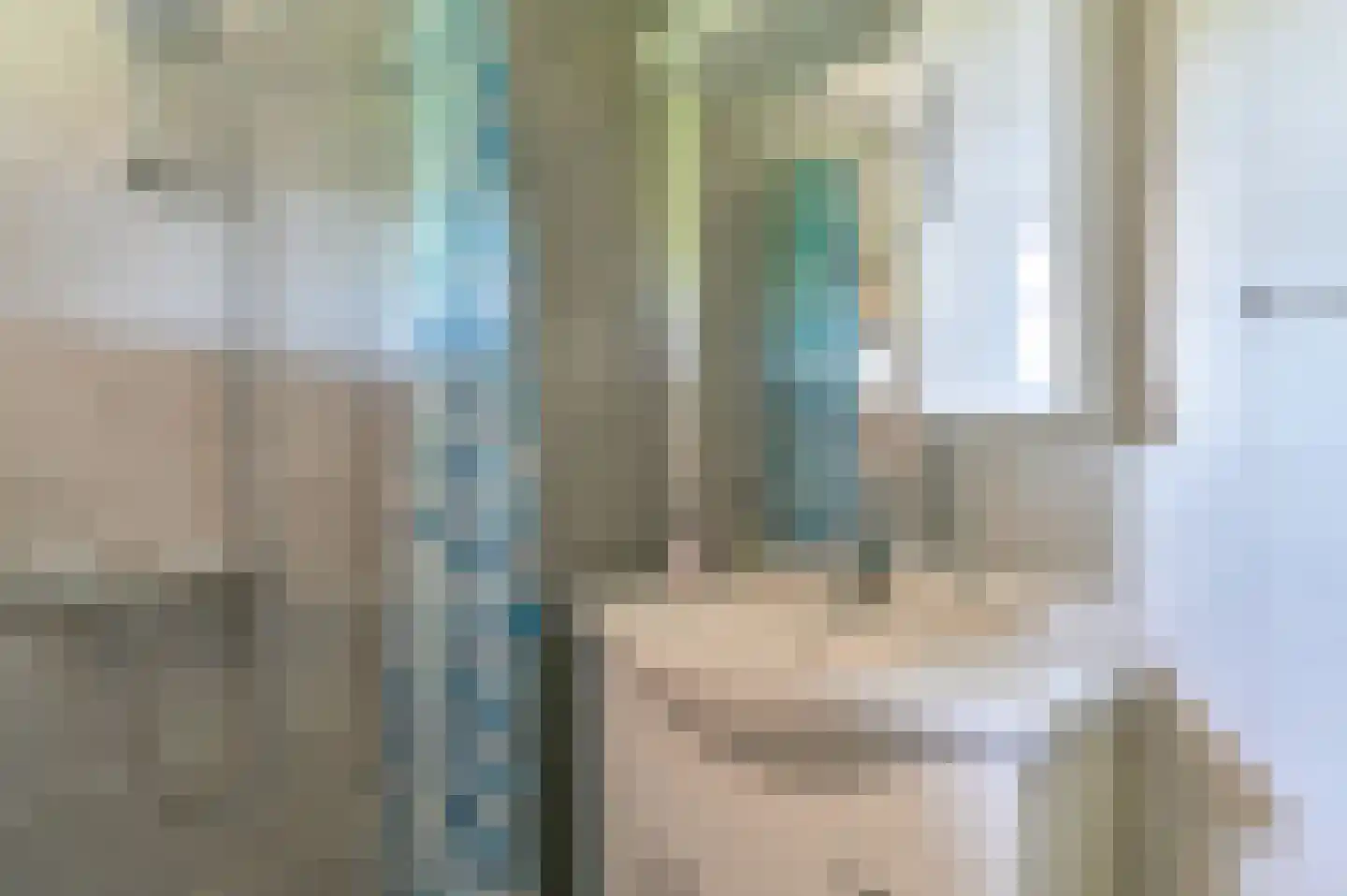 Overdijksterweg 4 Sellingen thumbnail 66