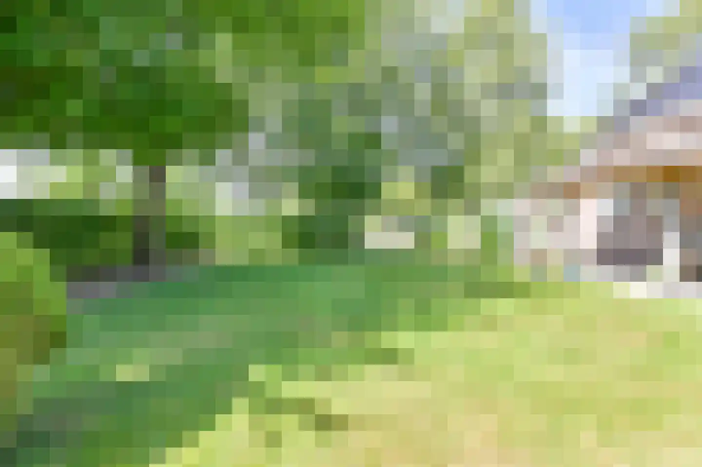 Overdijksterweg 4 Sellingen thumbnail 75