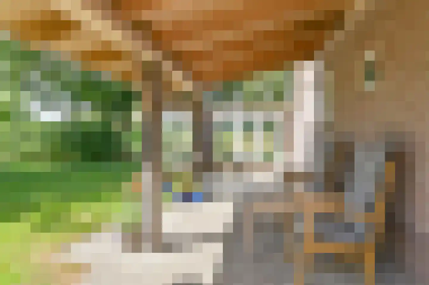 Overdijksterweg 4 Sellingen thumbnail 76