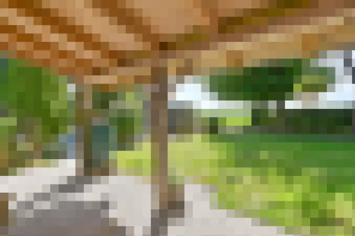 Overdijksterweg 4 Sellingen thumbnail 78