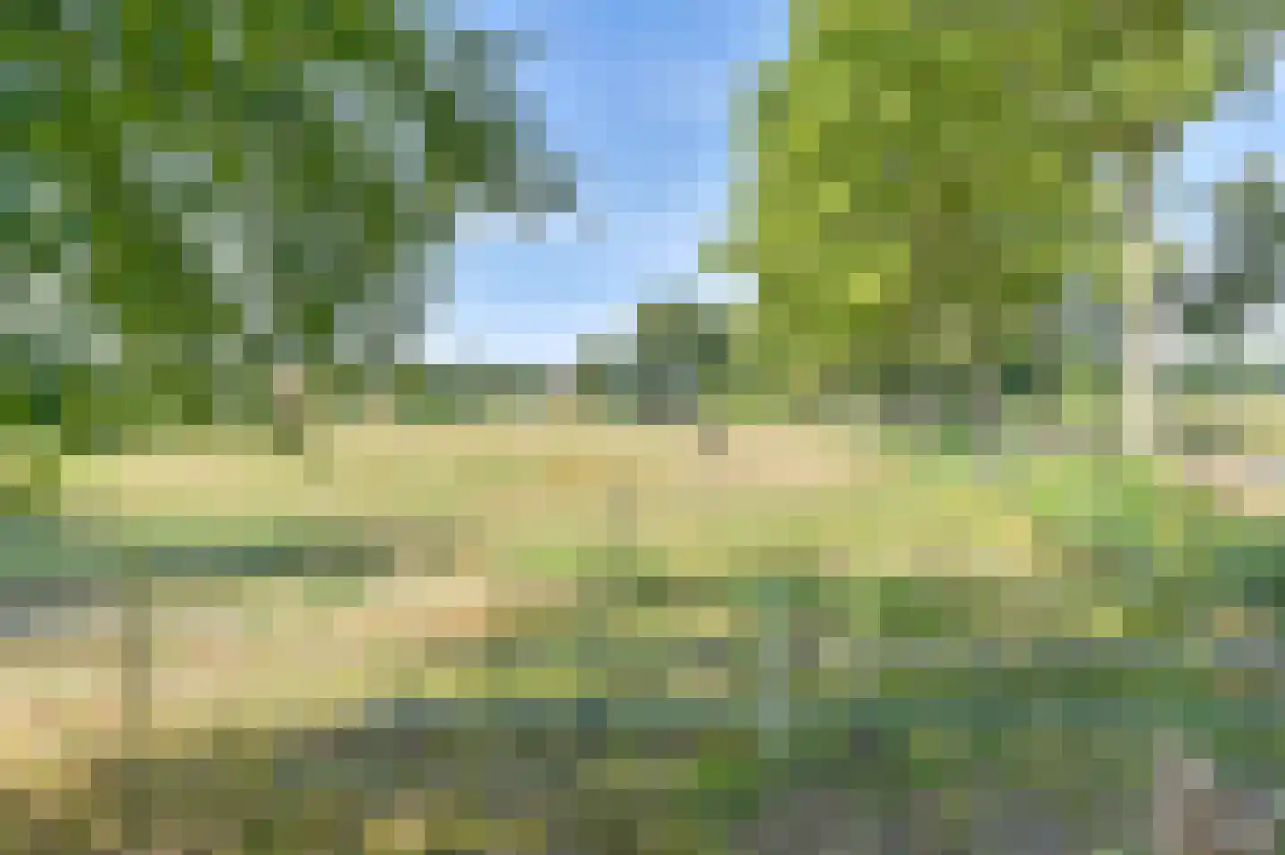 Overdijksterweg 4 Sellingen thumbnail 82