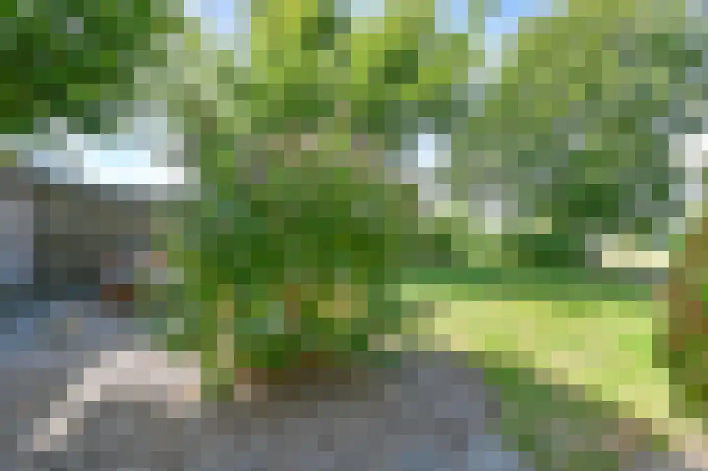 Overdijksterweg 4 Sellingen thumbnail 89