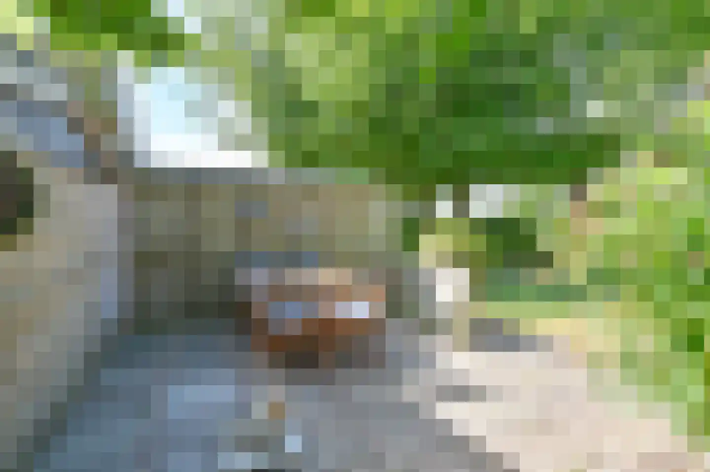 Overdijksterweg 4 Sellingen thumbnail 90