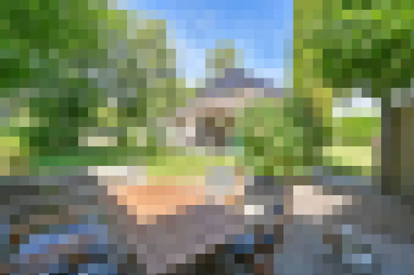 Overdijksterweg 4 Sellingen thumbnail 91