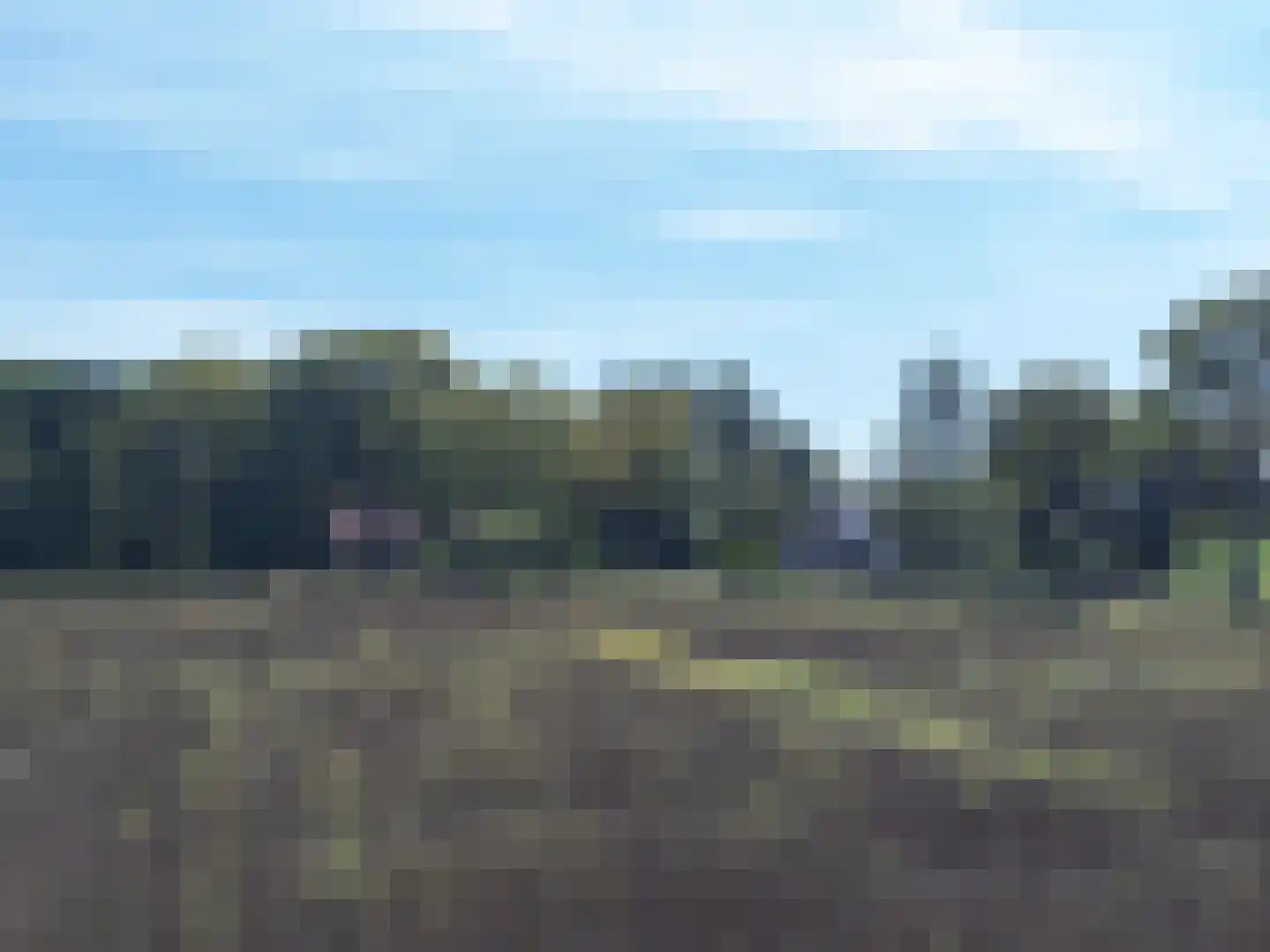 Overdijksterweg 4 Sellingen thumbnail 92