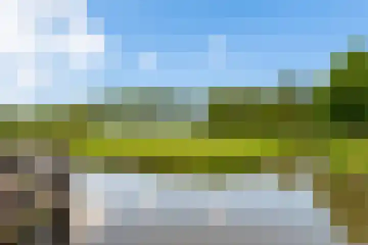 Overdorpstraat 20 De Goorn thumbnail 38