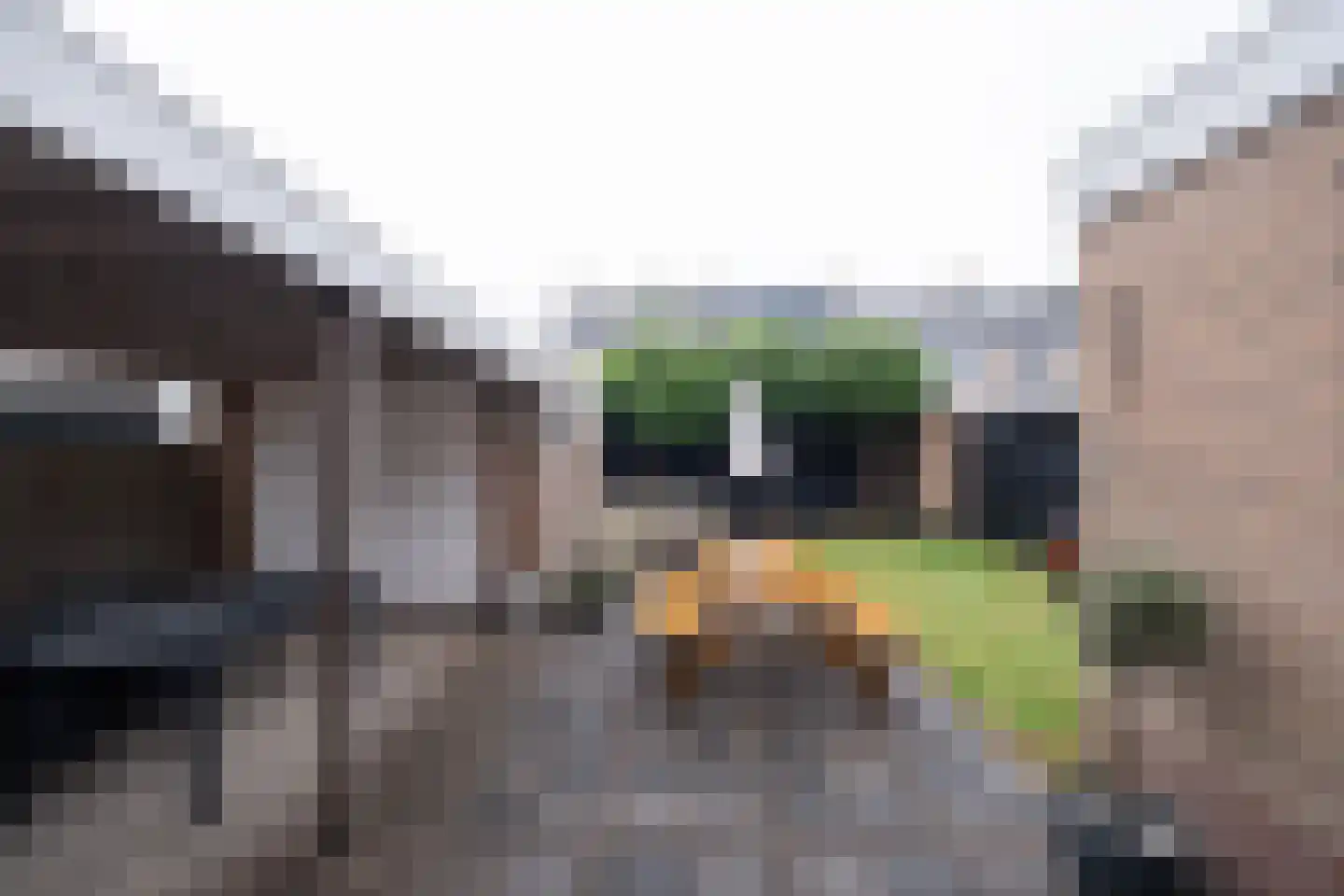 Overdorpstraat 21 De Goorn thumbnail 22