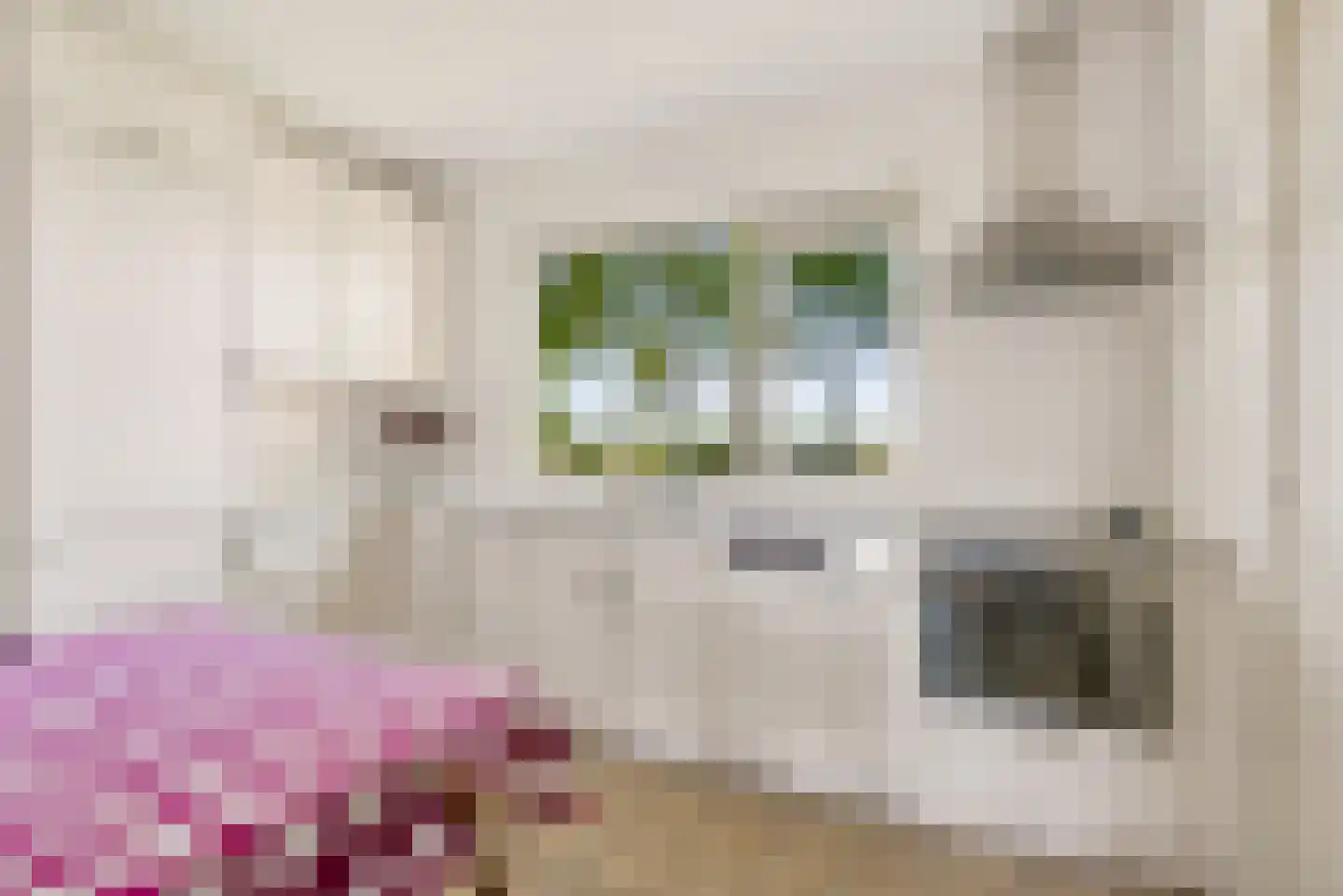 Overeind 61 Schalkwijk thumbnail 10